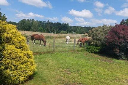 Haus & Grundstück bei Oranienburg Ideal für Familien
