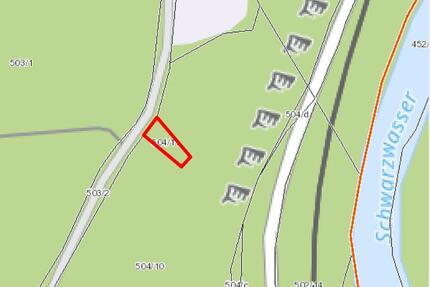 08315 Lauter-Bernsbach, Grundstück, naturbelassen, Gehölzfläche im Westerzgebirge