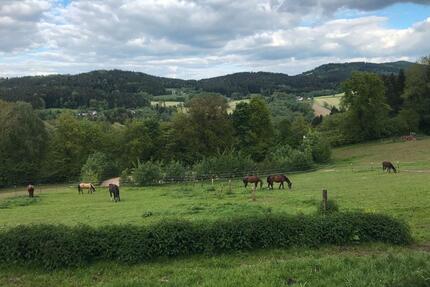 Pferdeparadies im Vorderen Bayerischen Wald - Konzell