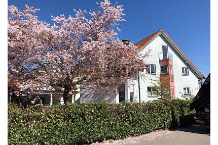 RUHIGES INVESTMENT-JUWEL AM EUROPA-PARK - Rust
