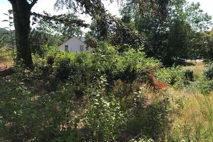 Grundstück zu verkaufen in Homburg 588.000,00 € 2453 m²