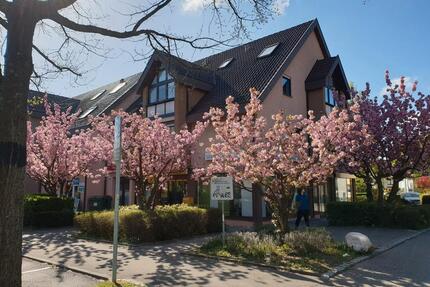 Schöne EG-2,5-Zimmer-Wohnung in Stuttgart-Stammheim
