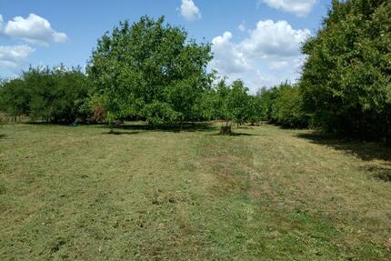 Gartengrundstück Freizeitgrundstück zu verpachten - Moers Schwafheim