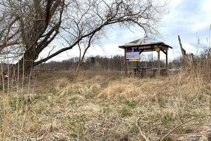 Grundstück zu verkaufen in Bad Freienwalde 99.000,00 € 2615 m²