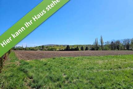 Haus zum Kaufen in Bad Harzburg 367.350,00 € 124 m²