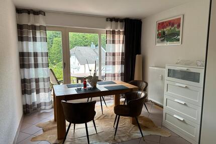 1 Zimmerwohnung mit Terrasse- Naturidylle Bad Orb - Karlstein am Main