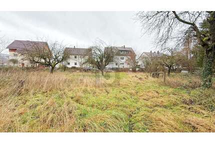 Grundstück zu verkaufen in Freden (Leine) 89.500,00 € 2000 m²