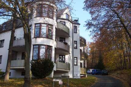 Wohnung zum Mieten in Plauen 320,00 € 48 m²