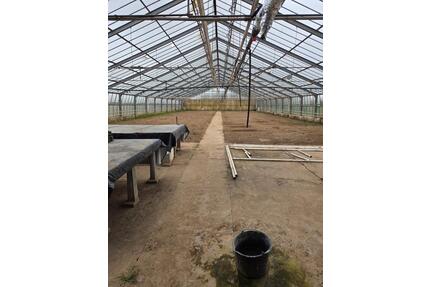 Ehemalige Gärtnerei zu verpachten - Korschenbroich