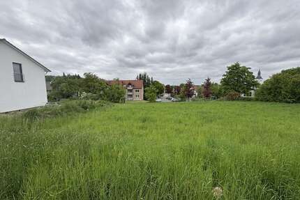 Grundstück zu verkaufen in Horn-Bad Meinberg 99.000,00 € 699 m²