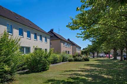 Wohnung zum Mieten in Brakel 389,00 € 50.24 m²