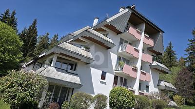 PANORAMA-PERLE IM HEILKLIMATISCHEN KURORT - Lenzkirch