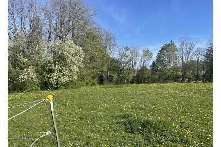INVESTMENT IN IHRE ZUKUNFT- KAUFEN SIE LAND - Berg