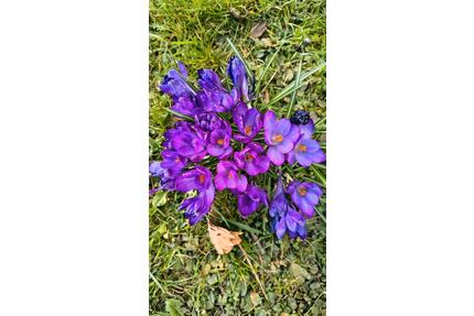 Neuwertiges Gartenhaus mit Holzherd für eine Auszeit - Rettenberg