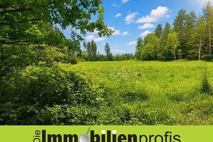 Grundstück zu verkaufen in Schwarzenbach an der Saale 38.500,00 € 2000 m²