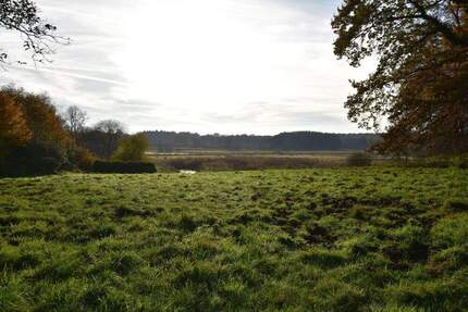 Parkartiges Baugrundstück in 2. Reihe mit unverbaubarem Blick über die Billewiesen - Trittau