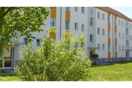 Tolle Zweieinhalbraumwohnung mit Balkon - Borna