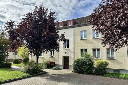 Wohnung zum Kaufen in Greifswald 124.900,00 € 43 m²