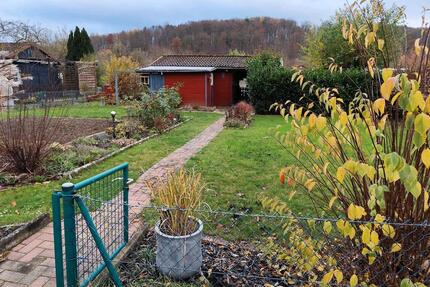 Schöner KleingartenPachtgarten im Verein - Northeim