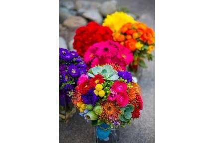 Hier können zwei Familie toll leben - Hildesheim Himmelsthür