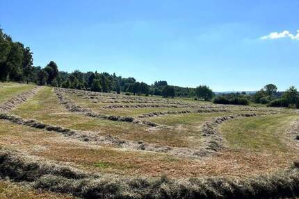 Grünland mit genehmigtem Bauprojekt für Wohnen & Pferdehaltung nähe 36355 Grebenhain – 3,6 ha mit Traumlage