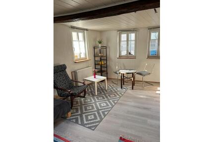 Teilmöbliertes Zimmer - 570,00&nbsp;EUR Kaltmiete, ca.&nbsp; 25,00&nbsp;m&sup2; in Hofheim am Taunus (PLZ: 65719)