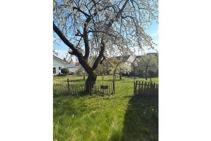 Schöner Bungalow ca 150qm - 950,00&nbsp;EUR Kaltmiete, ca.&nbsp; 150,00&nbsp;m&sup2; in Straubing (PLZ: 94315)