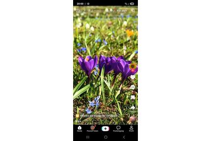 ETW frei, Toplage Krefeld Verberg