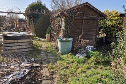 Pachtgarten - 500,00&nbsp;EUR Kaltmiete, ca.&nbsp; 0,00&nbsp;m&sup2; in Artern (PLZ: 06556)