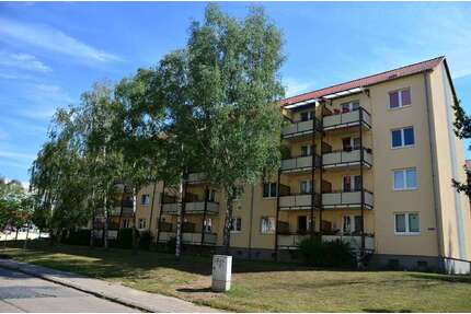 Wohnung zum Mieten in Sangerhausen 384,00 € 60 m²