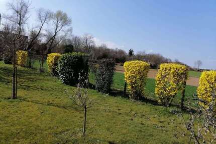 Grundstück zu verkaufen in Ditzingen 39.900,00 € 1400 m²