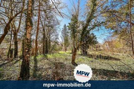 Grundstück zu verkaufen in Schöneiche bei Berlin 320.000,00 € 977 m²