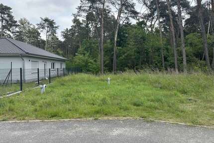Grundstück zu verkaufen in Rauen 125.000,00 € 600 m²