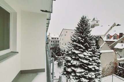 Wohnung zum Mieten in Freiberg 343,00 € 48.89 m²