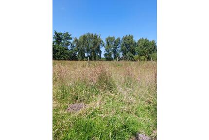 Großes Grundstück in Sackgassenlage nur 57€ pro Quadratmeter - Brunsbüttel