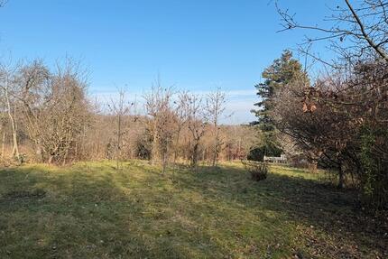 Garten in Bad Soden zu vermieten - Bad Soden am Taunus