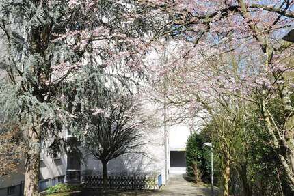 Wohnung zum Kaufen in Aachen 72.500,00 € 19 m²