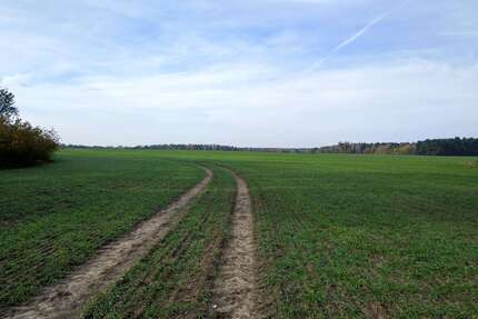 Grundstück in Stahnsdorf Güterfelde 49.000,00 € 10370 m² - Stahnsdorf / Güterfelde