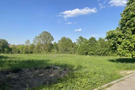 Grundstück zu verkaufen in Wallhausen 230.000,00 € 4545 m²