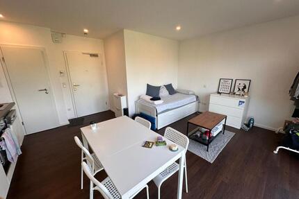 Moderne 1-Zimmer-Wohnung mit EBK und WLAN - Frankfurt am Main Ginnheim