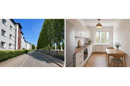 Wohnung zum Mieten in Dresden 960,00 € 51 m²