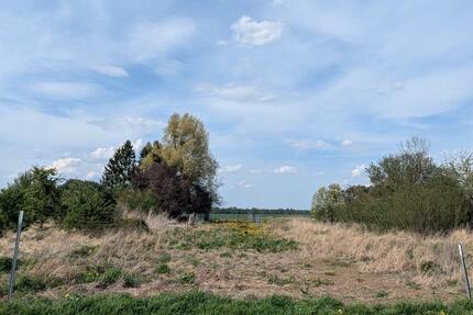 Ackerfläche zur Pacht | 332 m² | Stadtrand | Selbstversorgung - Prenzlau
