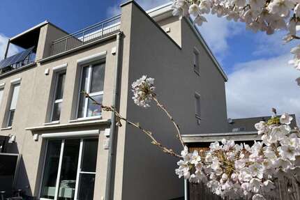 Haus zum Kaufen in Hamburg 619.000,00 € 146 m²