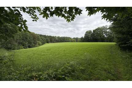 Grundstück in Grafing 148.000,00 € 10276 m²