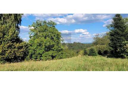 Grundstück zu verkaufen in Schwäbisch Gmünd 299.000,00 € 1053 m²