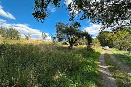 Wunderschöne Streuobstwiese zu vermieten - Brensbach