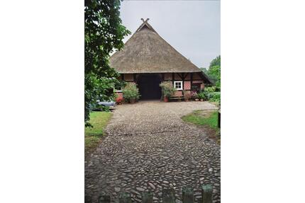 Bauernhaus mit Reetdach - Pferdestall - Alter Baumbestand - Neu Kaliß