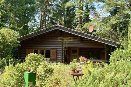 Haus zum Kaufen in Dedelstorf 120.000,00 € 63 m²