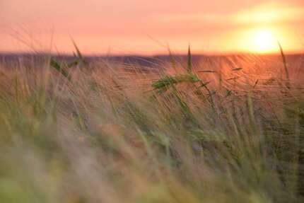 Wohnung zum Mieten in SchwedtOder OT Passow 365,00 € 57.8 m² - Schwedt/Oder OT Passow