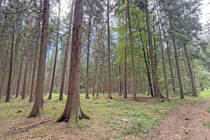 Grundstück in Beilngries 13.650,00 € 2730 m²